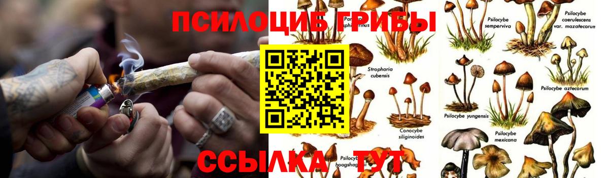 Галлюциногенные грибы Psilocybe  Вход с VPN  Калуга 