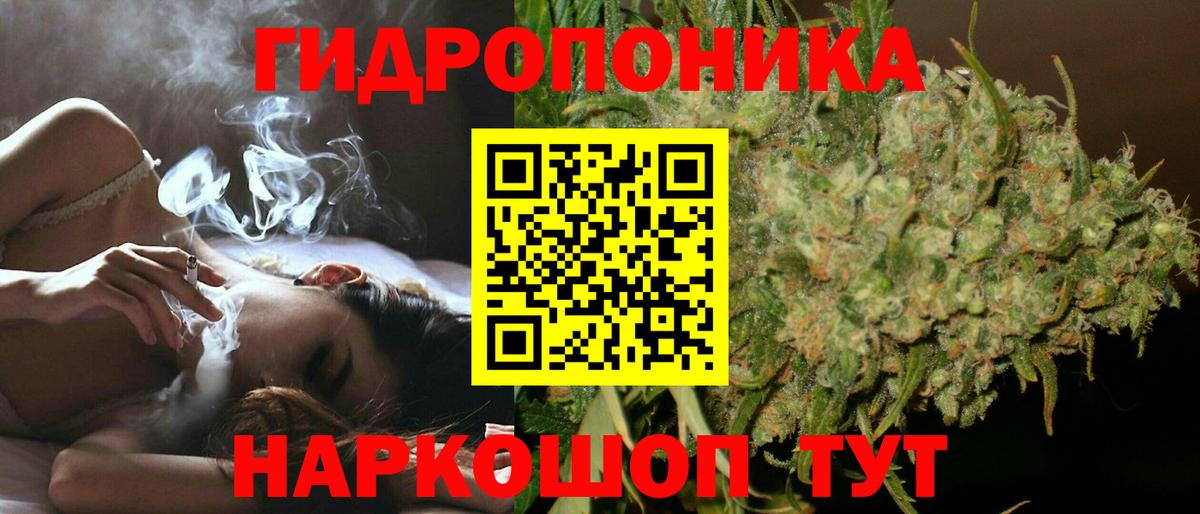 Каннабис OG Kush Калуга
